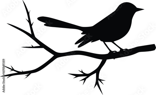 Silhouette of a small bird perched on a tree branch against a silhouette
