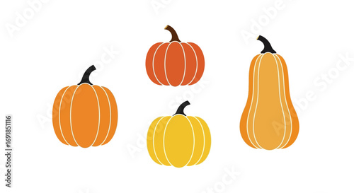 Four assorted pumpkins featuring orange yellow and butternut squash varieties vector