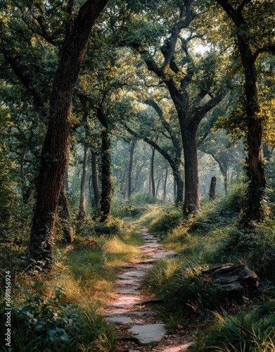 Path through Dark Woods