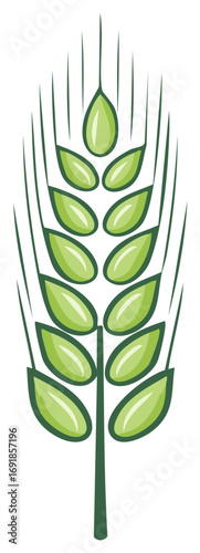 Green wheat ear illustration isolated on a white background