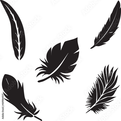 Silhouette feathers collection vectors
