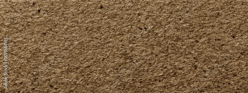 Wallpaper Mural Close-up view of a textured, light brown surface with small, uneven bumps and grains Torontodigital.ca