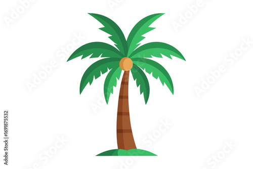 palm tree vector illustration