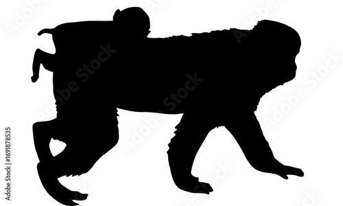 A black silhouette of a mother monkey carrying her baby on her back against a white background.