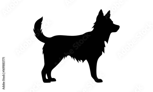 Simple black silhouette of a fluffy dog standing in profile. An isolated vector graphic icon of a canine, pet, or herding breed with a bushy tail, perfect for logos and design elements