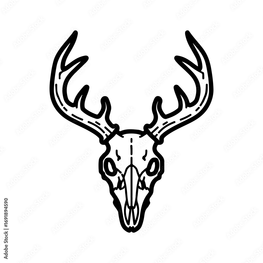Fototapeta premium Deer skull with antlers with transparent background