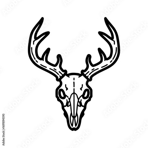 Deer skull with antlers with transparent background