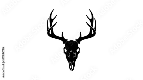 Deer skull with antlers with transparent background
