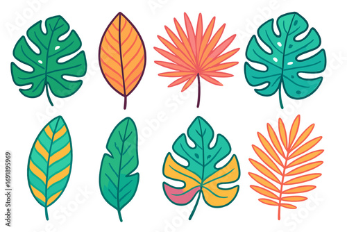 Set of colorful tropical leaves. Vector cartoon illustration collection. Exotic jungle foliage, monstera and palm leaf design elements. Botanical plant icons isolated.