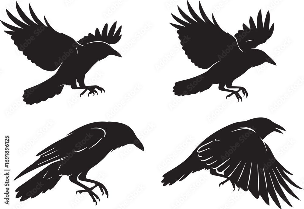 Obraz premium Four Silhouetted Ravens in Various Poses Depicting Flight Landing and Perching A Study in Contrasting Forms