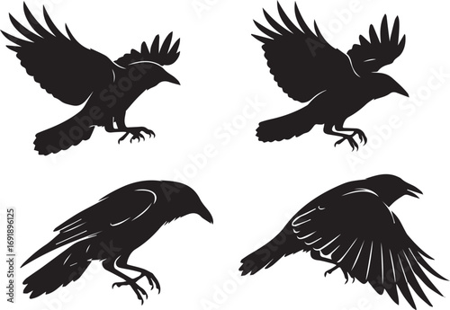 Four Silhouetted Ravens in Various Poses Depicting Flight Landing and Perching A Study in Contrasting Forms