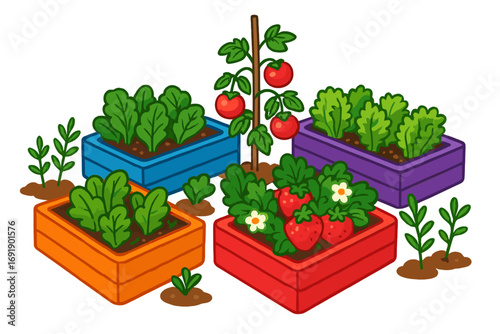 Colorful raised beds for urban gardening with fresh vegetables and fruits. Vector cartoon of home grown tomato, strawberry, and lettuce plants in container garden.