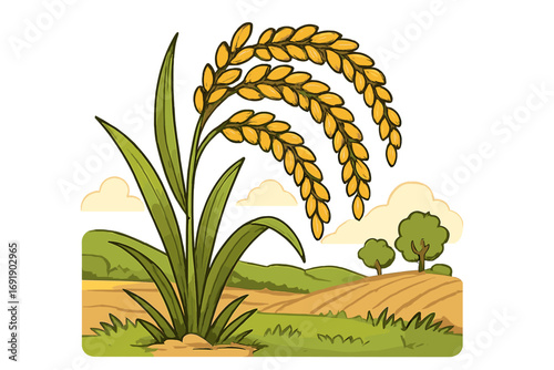 Vector illustration of a ripe golden rice plant with grains in a rural farm landscape. Cartoon clipart of paddy agriculture, cereal crop, and farming harvest concept.
