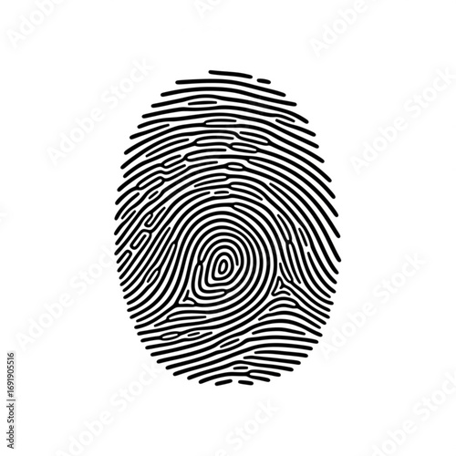 Vector art of detailed fingerprint pattern
