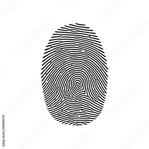 Vector art of detailed fingerprint pattern