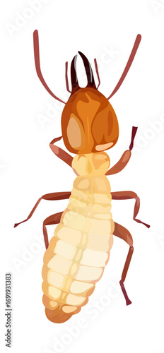 Detailed vector illustration of a termite with segmented body, dark head, mandibles, antennae, pale abdomen, and reddish-brown legs
暗色の頭部と大顎と触角を持ち、淡色の腹部と赤褐色の脚が付いた節のある体のシロアリを詳細に描いたベクターイラストの様子