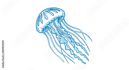 Mesmerizing translucent jellyfish underwater.