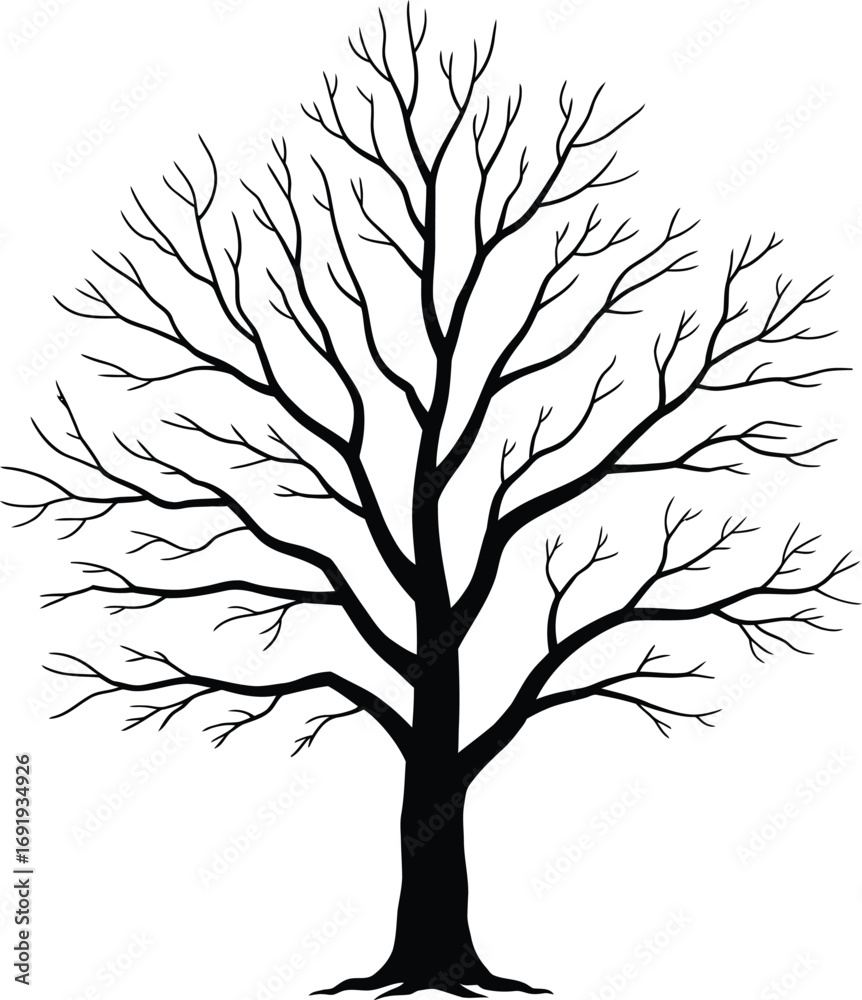 Fototapeta premium Silhouette of a bare tree with intricate branch patterns against a stark white background perfect for design elements and illustrative purposes adding a natural touch