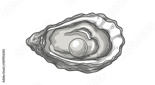 Oyster shell with pearl inside detailed drawing.
