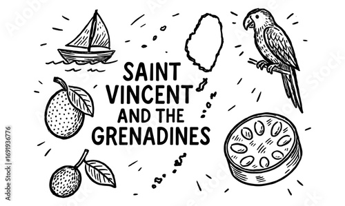 Hand-drawn saint vincent and the grenadines elements featuring local fruits and wildlife