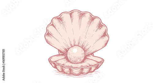 Pearl inside a pink seashell.