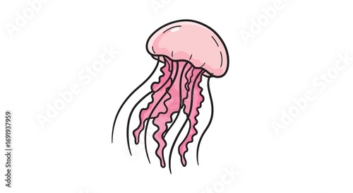 Pink jellyfish illustration simple design.