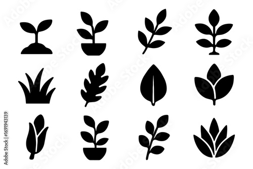 Nature inspired plant silhouettes collection for minimalist designs