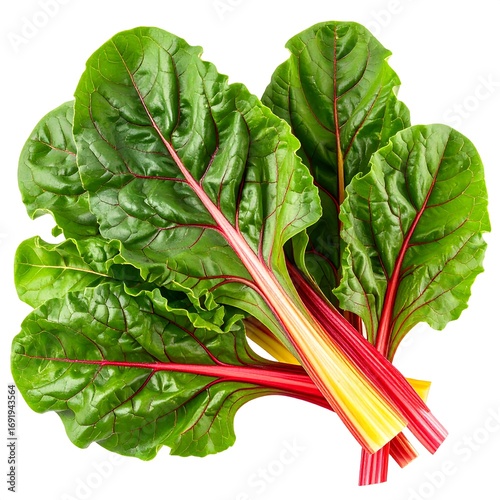 Fresh vibrant red and green Swiss chard