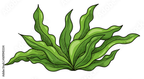 vibrant green aquatic plant illustration.