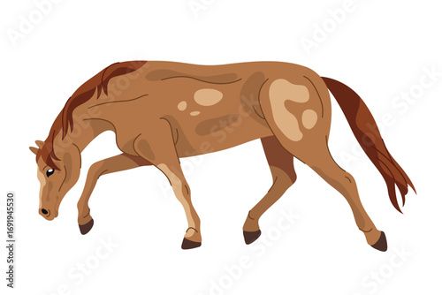 Vector frederiksborger horse breed. Side view on standing chesnut wildlife purebred animal. Stallion gait, motion icon. Danish or north mare symbol. Outdoor equestrian element. Freedom and power sign.