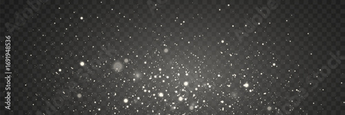 Magical white sparks of dust and light. On a transparent background.