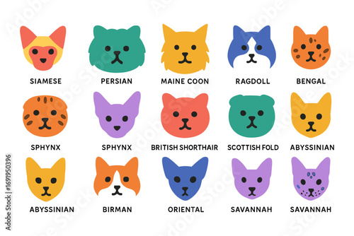 Simple flat style cat faces with various breeds in vibrant colors