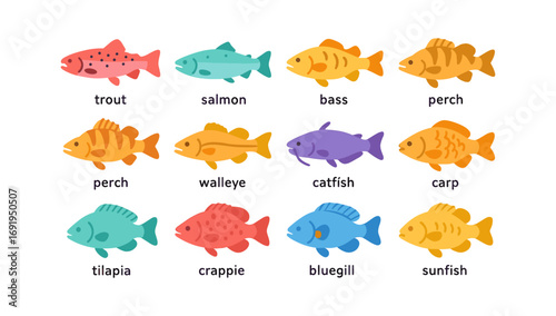 Colorful fish collection featuring various freshwater species in flat design