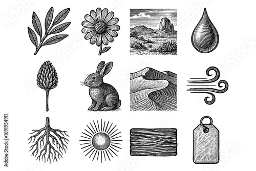 Vintage nature-inspired collection with animals, plants, and landscapes