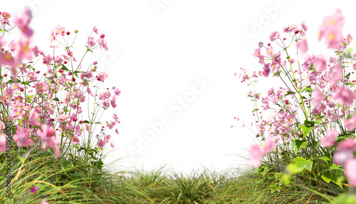 Nature flowery blossoming meadow ornamental cut out on transparent backgrounds 3d illustrations png file