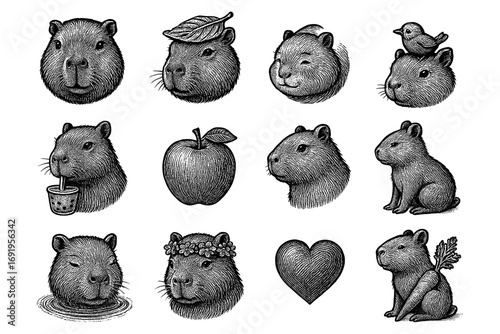 Capybara heads and cute elements in vintage engraving style set