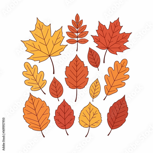 Collection of various autumn leaves in shades of orange, yellow, and red, arranged on a white background.