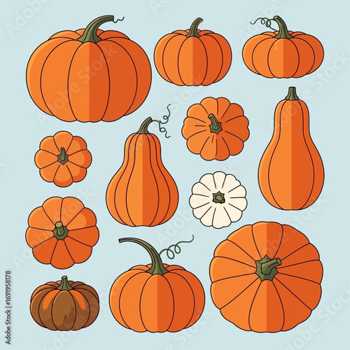 A collection of various orange pumpkins, gourds, and squash arranged on a light blue background.
