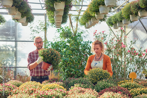 Man and woman working in a flower nursery greenhouse, taking care of plants and preparing it for selling.