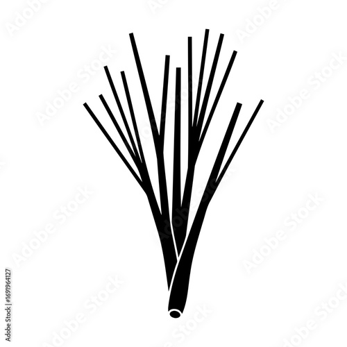 Lemongrass icon, black silhouette, aromatic herb,