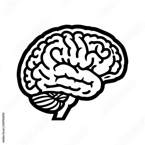 Human brain outline with transparent background