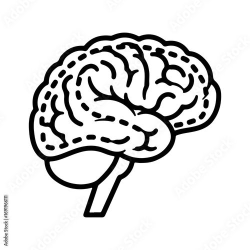 Human brain outline with transparent background