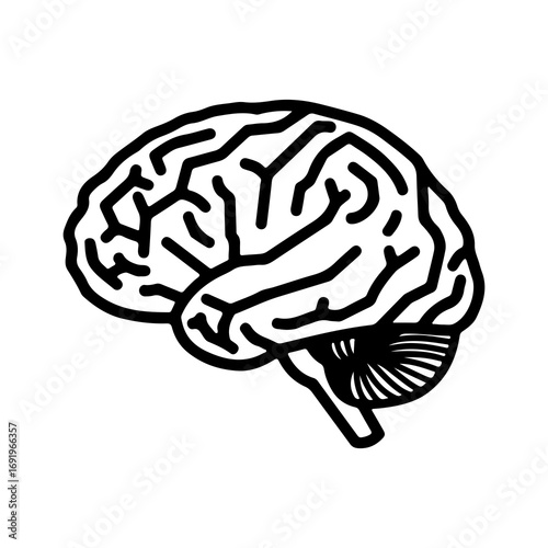 Human brain outline with transparent background