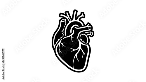 Human heart outline with transparent background