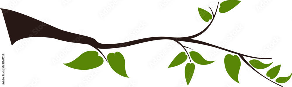 Fototapeta premium Tree Branch Plant 