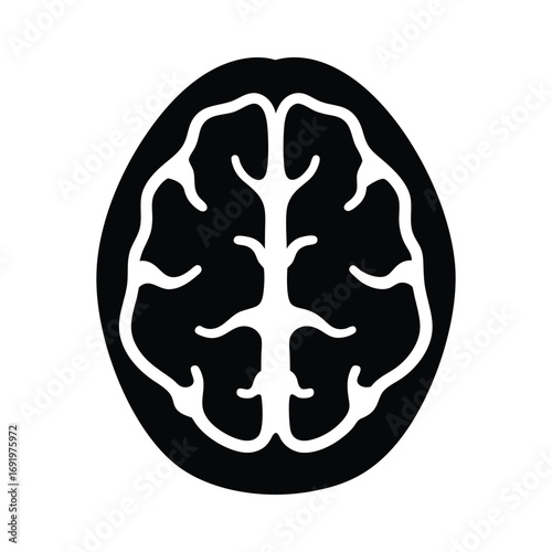 Brain illustration for medical health and science concept human anatomy and neurology design