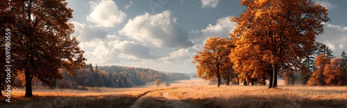 Panoramic photograph of a beautiful autumn land
