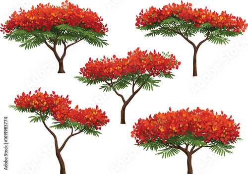 Stylized autumn trees with red-orange foliage and green fern leaves, botanical vector elements for seasonal nature design, garden decor, and illustration