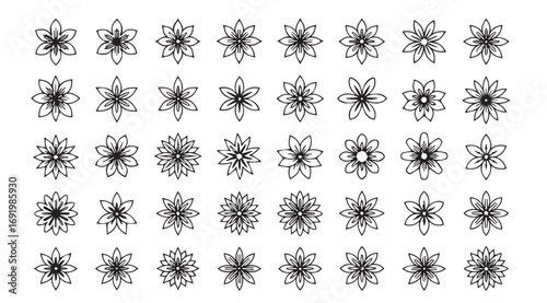 Collection of intricate black and white symmetrical decorative floral motifs silhouette