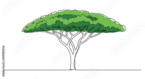 Minimalist line art illustration of a green canopy tree with intricate branches